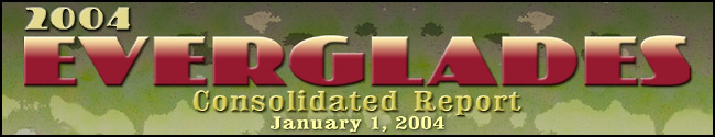 2004 Everglades Consolidated Report