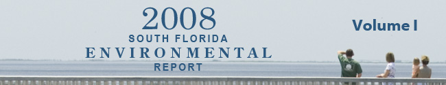 2008 South Florida Environmental Report, Vol. I