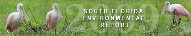 2009 South Florida Environmental Report, Vol. I